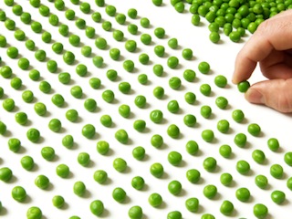 Counting Peas smaller file size.jpg